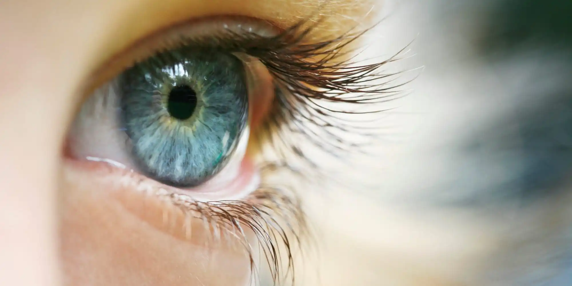Some food beneficial for your eyes !