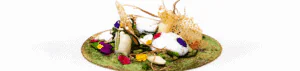 Advanced Professional Chef Course